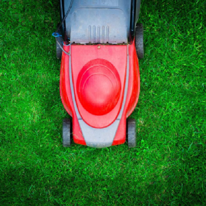 Lawn Mowing Service South Laurel Maryland